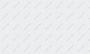 Rioolservice Den Helder